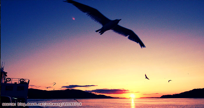 ภาพบรรยากาศบริเวณท่าเรือของเกาะซองโมโด Seongmodo Island