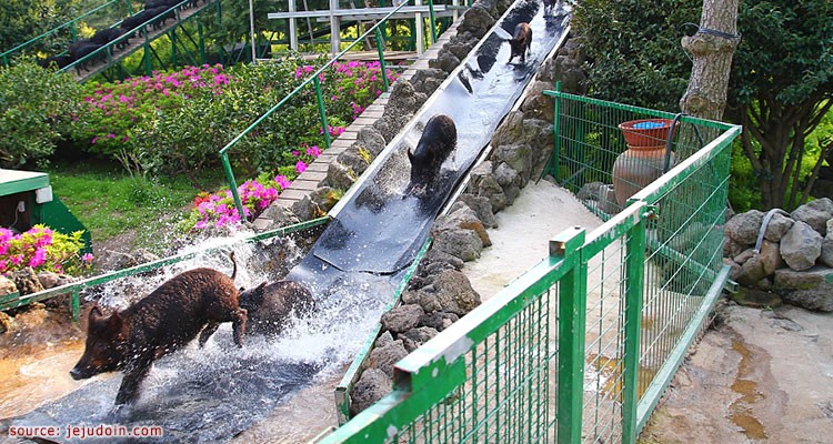 อุทยานแห่งชาติฮูรี