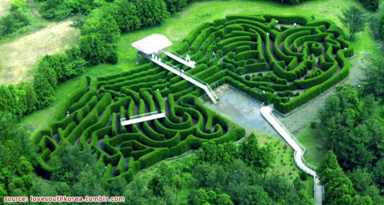 สวนเขาวงกตกิมนยอง - Gimnyeong Maze Park