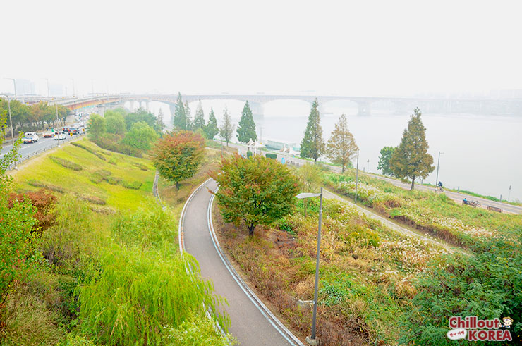 เส้นทางเรียบแม่น้ำฮัน ทางเกาหลีเขาทำไว้อย่างดี มีทั้งเลนจักรยาน, เลนสำหรับให้คนเดินเล่น หรือวิ่งจ๊อกกิ้ง ยาวตลอดทางเลย