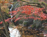 น้ำตกกูยอง Guryong Waterfall