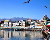 ตลาดอาหารทะเลแทโพฮัง - Daepohang Port