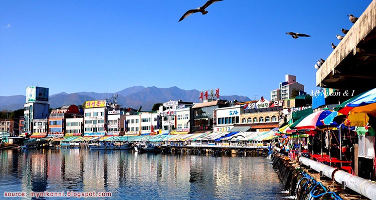 ตลาดอาหารทะเลแทโพฮัง - Daepohang Port