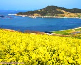 เกาะชองซานโด