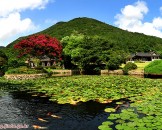 บ้านสระบัวอุลลิมซานบัง