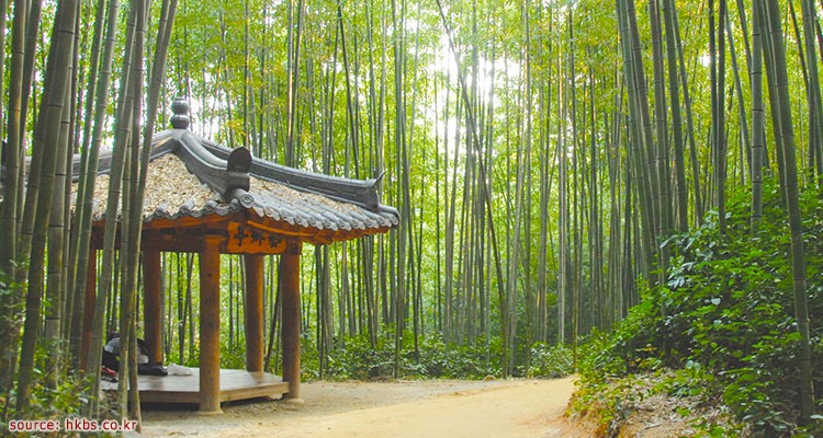 สวนป่าไผ่จัคนควอน