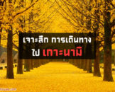 รวมวิธีการเดินทางจากโซลไปที่เกาะนามิ