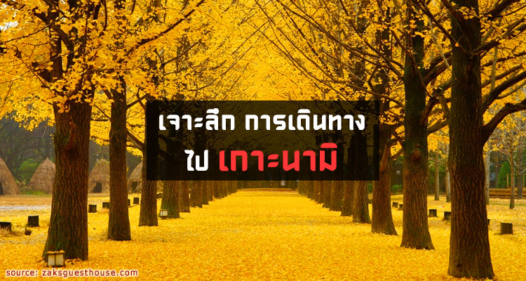 รวมวิธีการเดินทางจากโซลไปที่เกาะนามิ