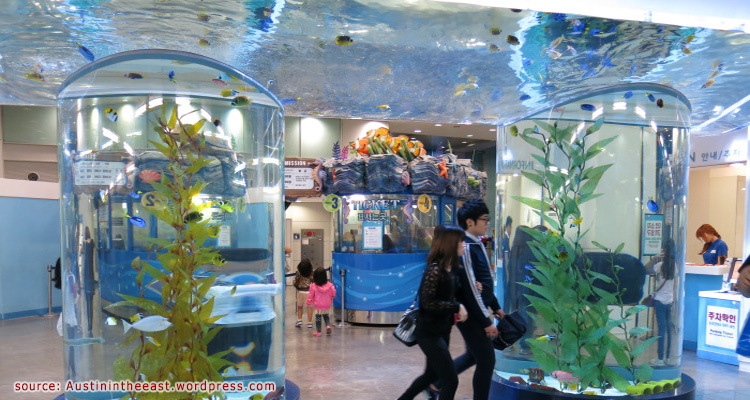 Coex-Aquarium