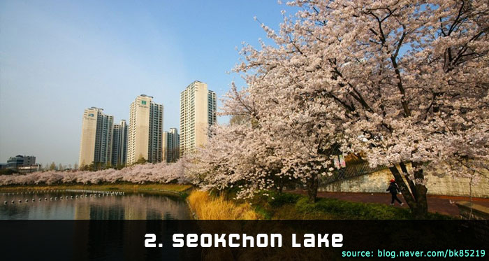 Seokchon Lake Cherry Blossom Festival