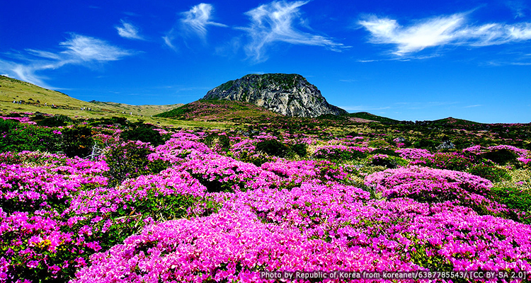 Hallasan National Park