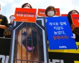 news-no-dog-meat