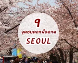 9-cherry-blossom-spot-in-seoul