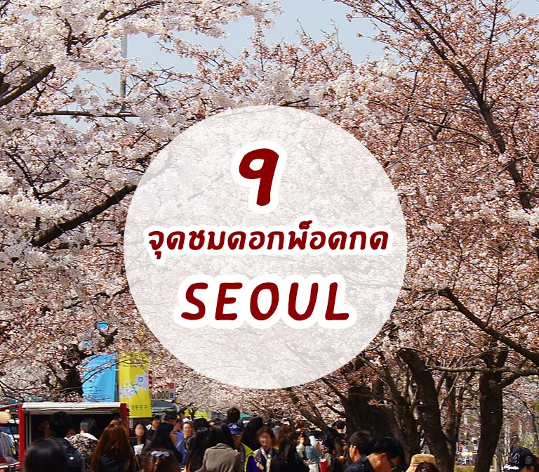 9-cherry-blossom-spot-in-seoul